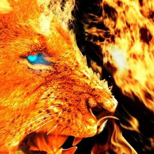 Meet your Posher, Jeffery